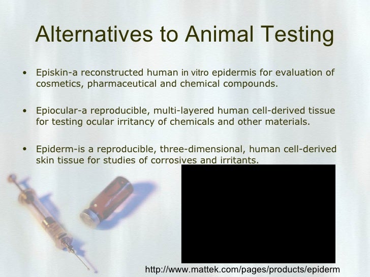Free persuasive essay on animal testing