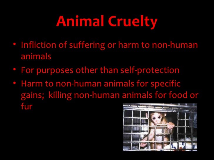 animal testing essays against Animal testing is bad science: the following are common statements supporting animal experimentation followed by the arguments against 757-622-peta (7382. animal testing essays against Animal testing is bad science: the following are common statements supporting animal experimentation followed by the arguments against 757-622-peta (7382.