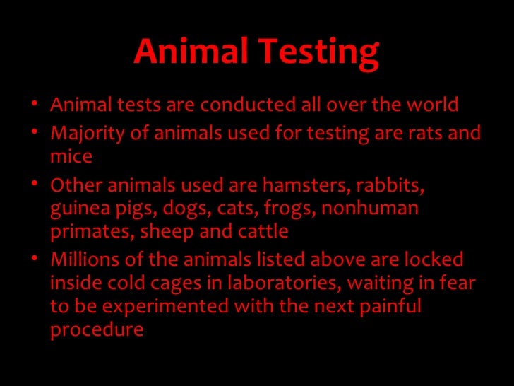 Animal cruelty ethics ppt