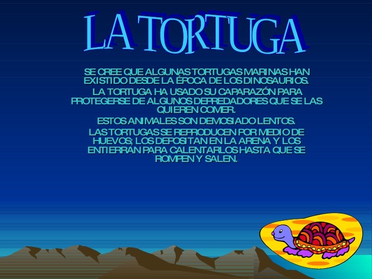 INFORMACION SOBRE TORTUGAS MARINAS informacion sobre tortugas marinas: