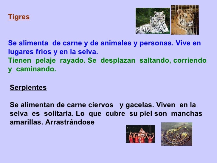 La máscara para la persona con la miel de las manchas de pigmento