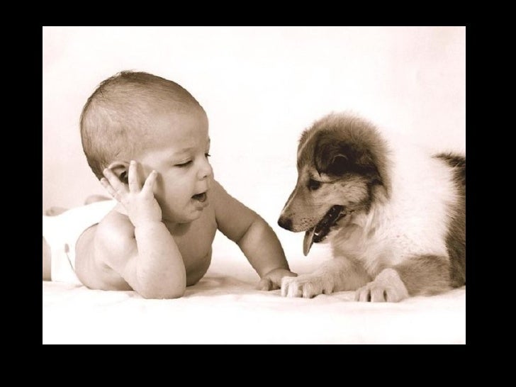 Bienvenidos al nuevo foro de apoyo a Noe #258 / 20.05.15 ~ 23.05.15 - Página 21 Humanos-y-animales-6-728