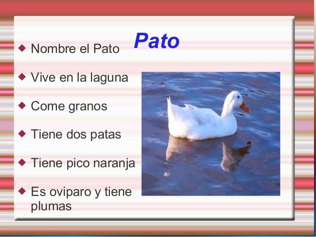 Animales 2° A