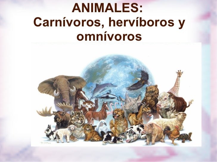 CARNIVOROS, HERVIBOROS, OMNIVOROS CARNIVOROS, HERVIBOROS, OMNIVOROS