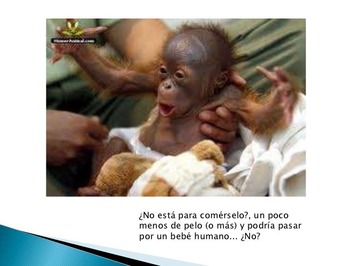 Imagenes Graciosas Hermanos | imagenes para hermanos graciosas imagui Imagenes Graciosas Hermanos | imagenes para hermanos graciosas imagui