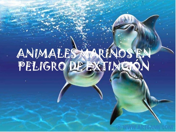 WWW ANIMALES EN PELIGRO DE EXTINCION www animales en peligro de extincion: