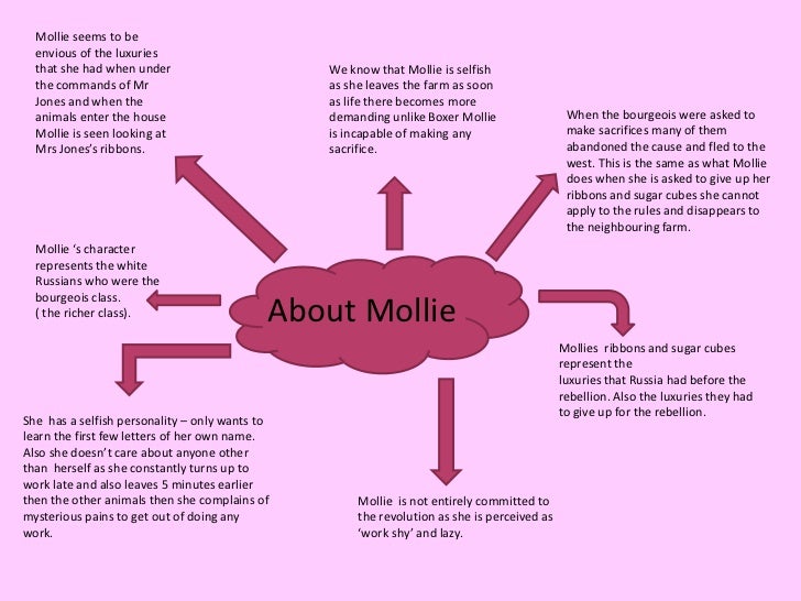 The novel essay model