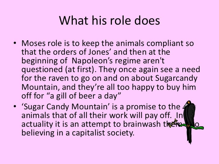 Animal farm revising the novel