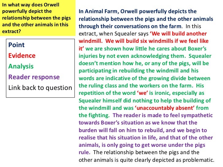 essay questions on animal farm Essay questions on animal farm - let specialists deliver their responsibilities: order the needed task here and expect for the best score quick and trustworthy. essay questions on animal farm Essay questions on animal farm - let specialists deliver their responsibilities: order the needed task here and expect for the best score quick and trustworthy.