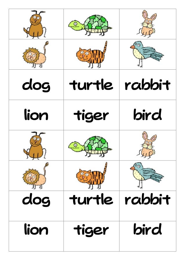 Animal flashcard
