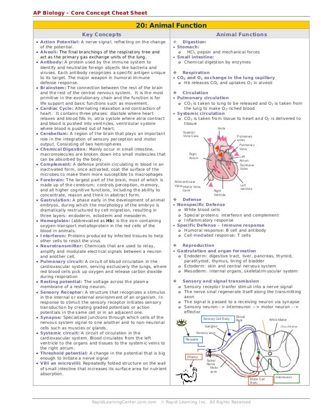 Biology cheat sheet for college image