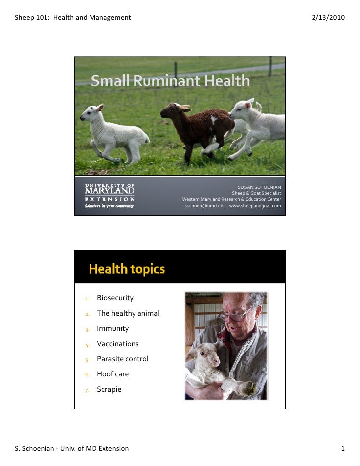 Small Ruminant Health