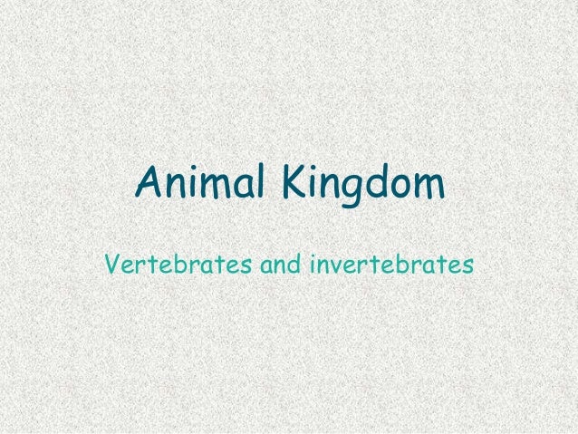 Animal kingdom: vertebrates