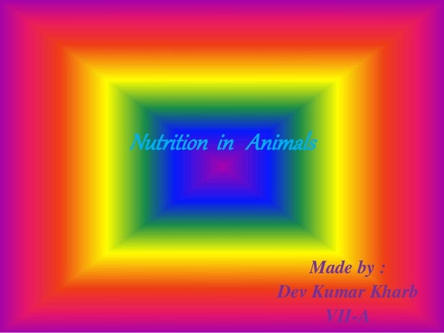 Animal nutrition ppt