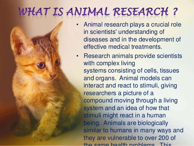 the horrors of animal research Farmed animals suffer in cruel experiments for meat industry posted by kelly levenda the us meat animal research center (marc) stop all of this austwitz, horror on all animals now. the horrors of animal research Farmed animals suffer in cruel experiments for meat industry posted by kelly levenda the us meat animal research center (marc) stop all of this austwitz, horror on all animals now.