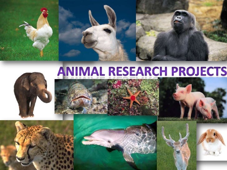 Buy research projects