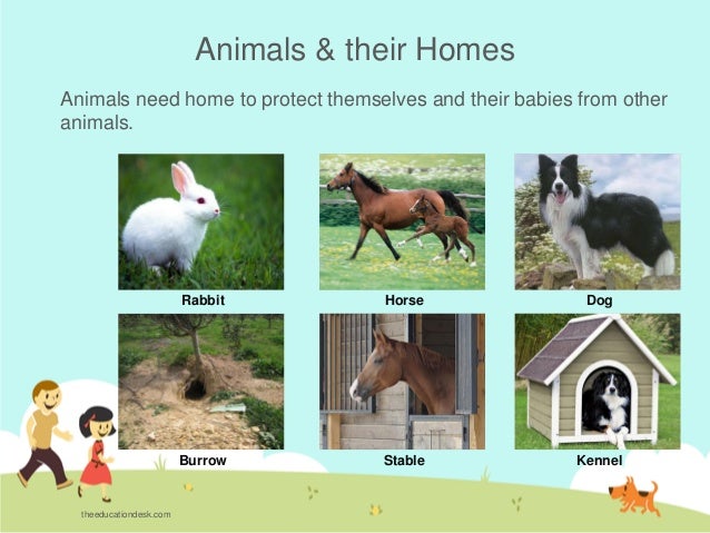 Wild animals homes names