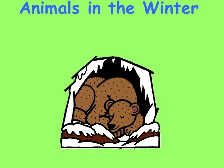 winter animals clipart - photo #49