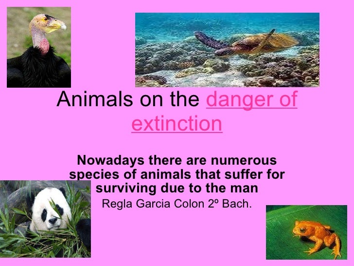 Animals In Danger Of Extinction For Kids Animals In Danger Of Extinction For Kids