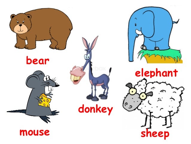Dog Training Vocabulary Dog Training Vocabulary