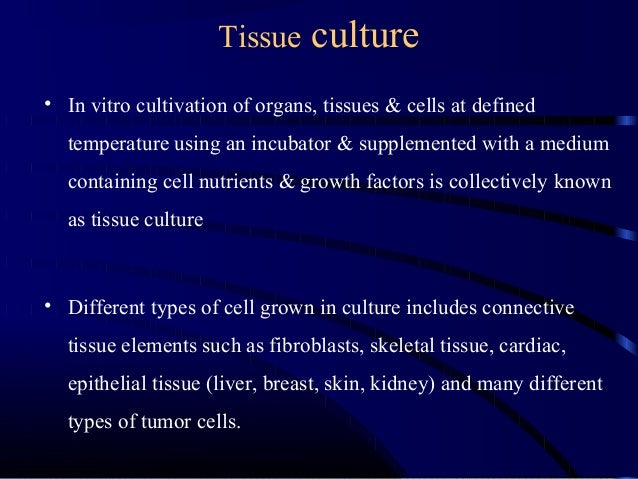 plant tissue culture research papers 2013 plant tissue culture research papers 2013