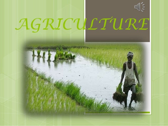 crops ppt military bralicious co crops ppt
