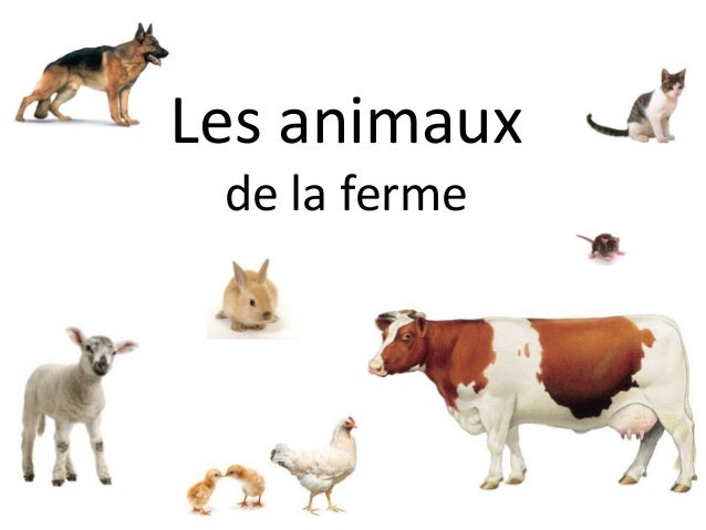 Les Animaux De La Ferme Les Animaux De La Ferme