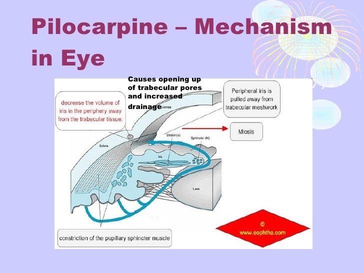 Autonomic Pharmacology and Cholinergics drdhriti