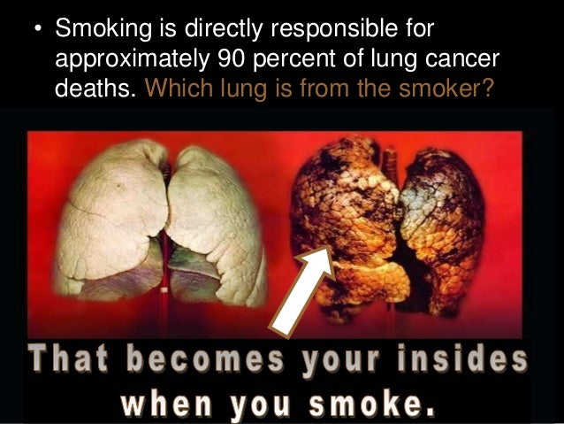 Essay on effects of smoking on health