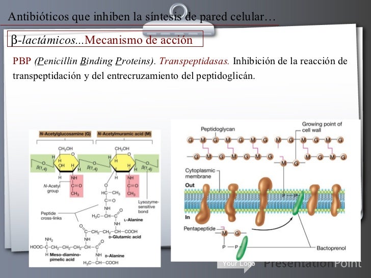 Antibioticos