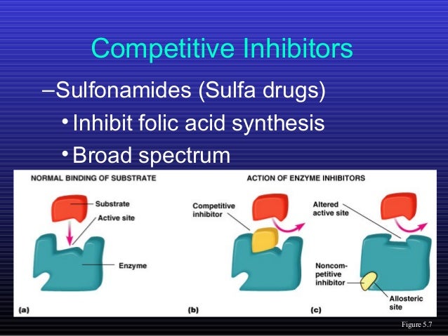 Ciprofloxacin inhibits dna gyrase and eukaryotes Ciprofloxacin inhibits dna gyrase and eukaryotes