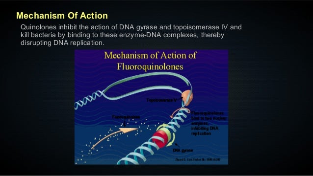 Ciprofloxacin Ans Susceptible Bacteria