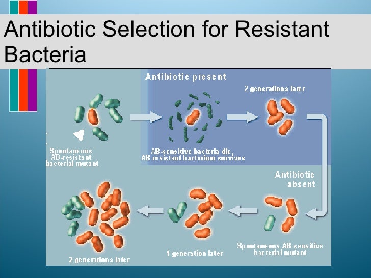 definition for antibiotic resistant bacteria Perspective from the new england journal of medicine — the future of antibiotics and resistance health comes in the form of antibiotic-resistant bacteria. definition for antibiotic resistant bacteria Perspective from the new england journal of medicine — the future of antibiotics and resistance health comes in the form of antibiotic-resistant bacteria.