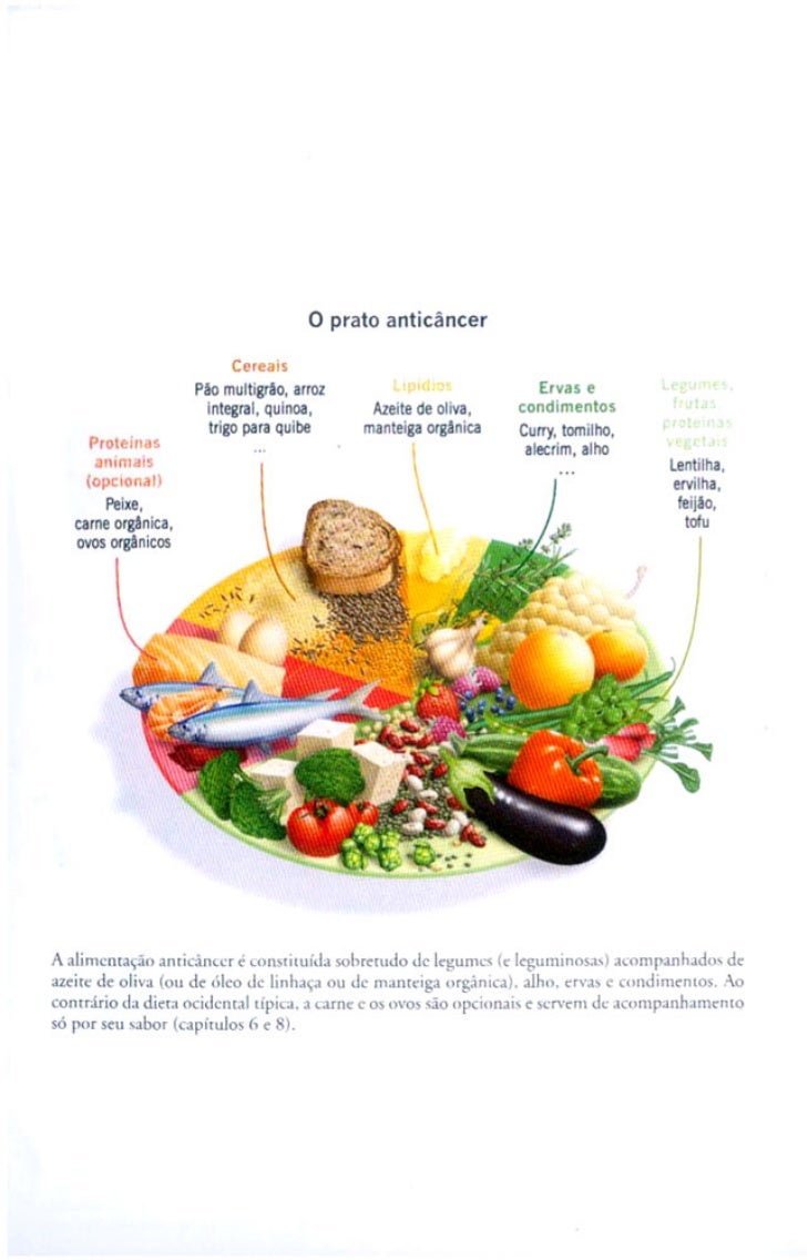 Dicas Alimentares (Anticâncer, David Servan-Schreiber)