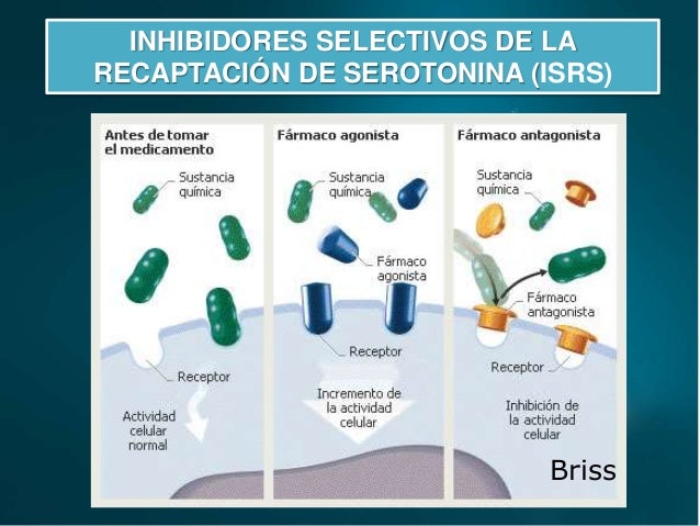 Antidepresivos psicofarmacologia Antidepresivos psicofarmacologia