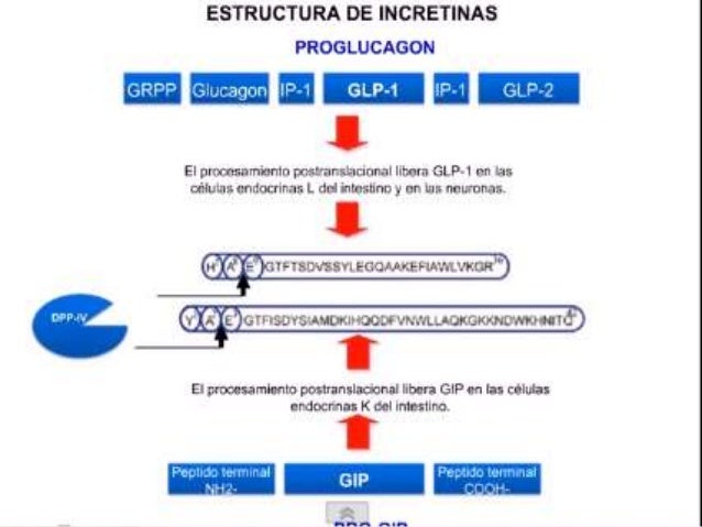 Antidiabeticos farmacologia clinica Antidiabeticos farmacologia clinica