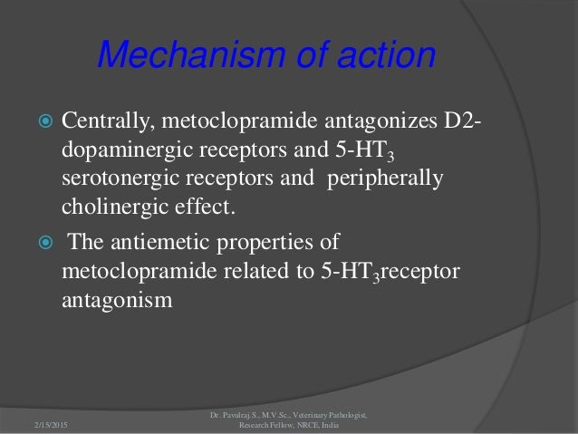Metoclopramide For Dogs Overdose