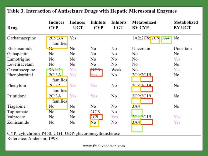 gabapentin metabolism cyp