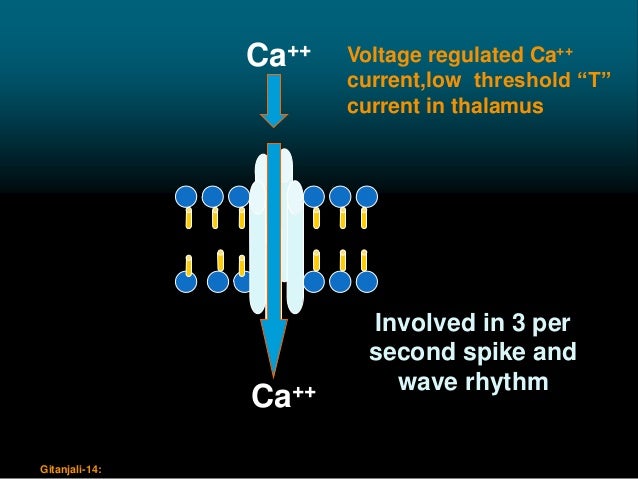 Tegretol Level Frequency