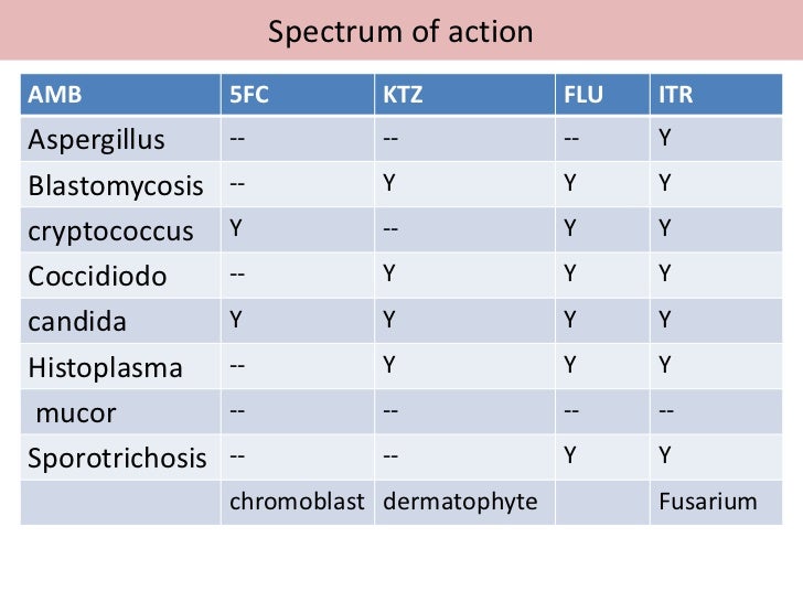 Antifungal drugs