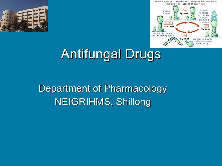 Antifungals drdhriti