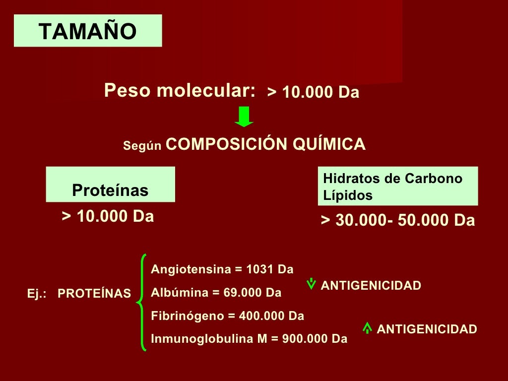 TAMAÑO          Peso molecular: > 10.000 Da            Según COMPOSICIÓN            QUÍMICA                               ...