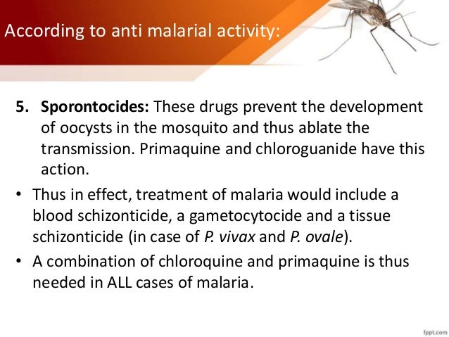 new derivatives of antimalarial drug artemisinin essay New derivatives of antimalarial drug artemisinin essay by papernerd contributor , college, undergraduate , april 2001 download word file , 4 pages download word file , 4 pages 50 2 votes. new derivatives of antimalarial drug artemisinin essay New derivatives of antimalarial drug artemisinin essay by papernerd contributor , college, undergraduate , april 2001 download word file , 4 pages download word file , 4 pages 50 2 votes.