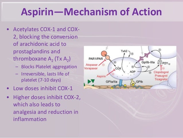 Mode Of Action Of Tadalafil