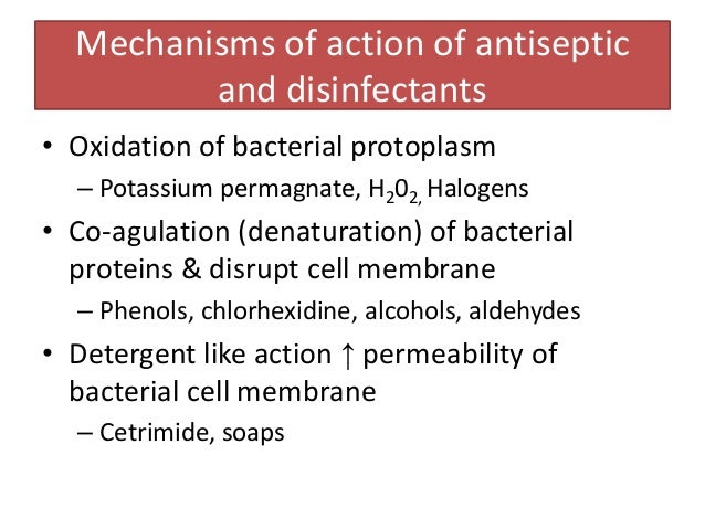 Difference between antiseptic and disinfectant 