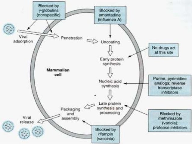 Watch Didanosine video Watch Didanosine video