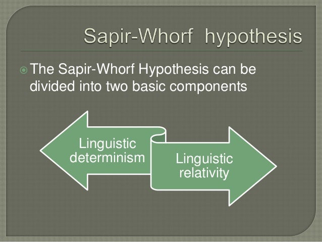 the sapir whorf hypothesis by david s thomson In his article sapir-whorf hypothesis: worlds shaped by words, david s thomson offers this example of how cultures are shaped by language. the sapir whorf hypothesis by david s thomson In his article sapir-whorf hypothesis: worlds shaped by words, david s thomson offers this example of how cultures are shaped by language.