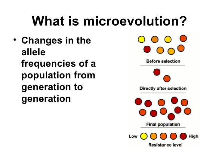 chapter 23 the evolution of populations Download and read chapter 23 the evolution of populations answers chapter 23 the evolution of populations answers when there are many people who don't need to expect something more than the benefits to take, we will suggest. chapter 23 the evolution of populations Download and read chapter 23 the evolution of populations answers chapter 23 the evolution of populations answers when there are many people who don't need to expect something more than the benefits to take, we will suggest.