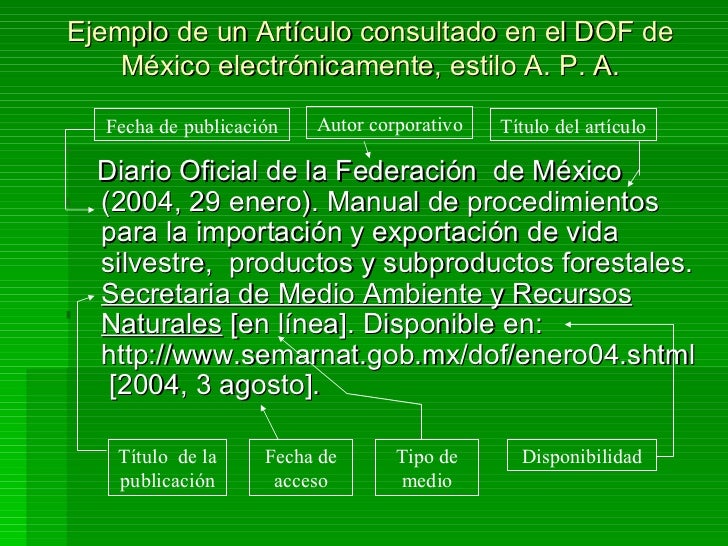 Fichas bibliográficas: APA