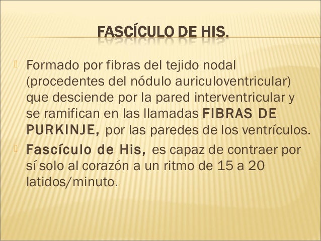 La red venosa sobre la cabeza al niño de la causa